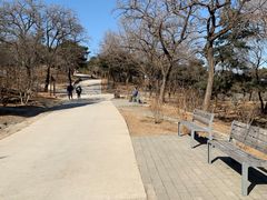 -北京西山国家森林公园