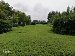 -熙顺紫菜包饭(三孔旅游区曲阜明故城店)