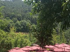 -楠柏弯休闲山庄(梨花溪店)