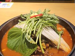 脊骨汤锅-韩香福脊骨汤锅(上杭路店)