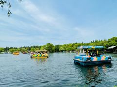 -上海共青森林公园