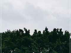 -南沙蒲洲花园