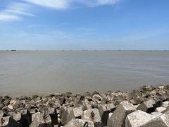 -上海滨江森林公园