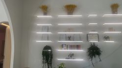 -紫琪尔·胸部养护护理