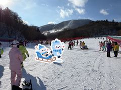 -亚布力新体委滑雪场
