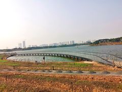 -海珠湖公园