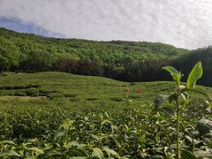 -南京金牛湖风景区