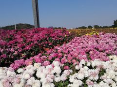 -上海月湖雕塑公园