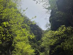 -野三坡百里峡景区