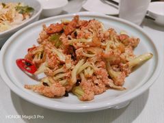 -红樱桃·新派辽菜(北行店)