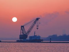 -上海吴淞炮台湾国家湿地公园
