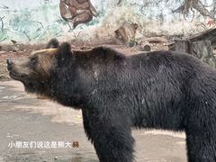 -广州动物园