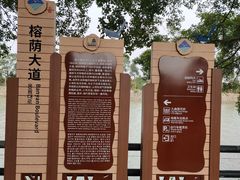 -大湾区中央湿地公园
