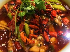 -辛香汇(飞洲店)