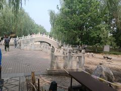 -丰台科技园生态主题公园