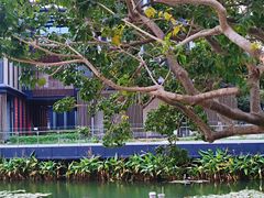 -星巴克(深圳前海企业公馆店)