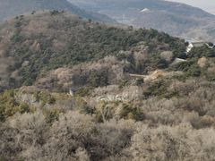 -沈阳辉山风景区