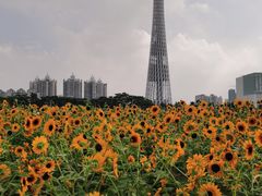 -海心沙亚运公园