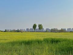 -汉长安城未央宫国家考古遗址公园