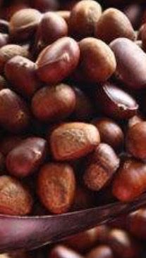 -金栗王(清扬路店)