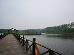 -溱湖国家湿地公园