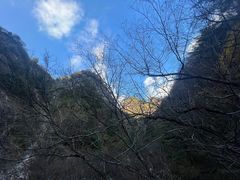 -朱雀国家森林公园