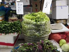 -科巷菜场