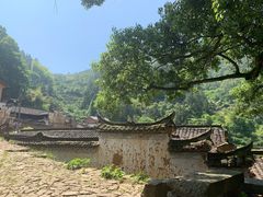 -杨家堂村