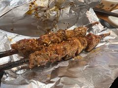 红柳大肉串-额尔敦草原涮羊肉·烧烤(冻青树总店)