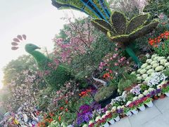 -南山植物园