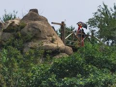 -大岭沟猕猴桃谷风景区