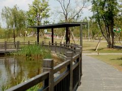 -上海长兴岛郊野公园