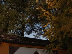 -成都市文殊院