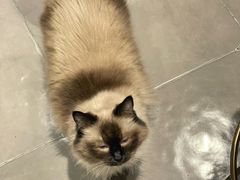 -Estaeslavida分享茄雪茄吧(亿彩购物中心店)