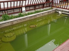 -武汉紫薇都市田园