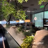 创意融合餐厅～美味打卡成功！