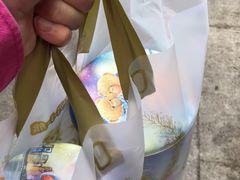 -珍妮曲奇聪明小熊(尖沙咀店)