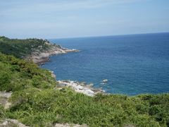 -广东惠东海龟国家级自然保护区