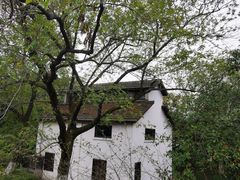 -杭州城北体育公园