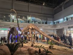 -自贡恐龙博物馆