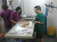 iphone_upload_pic-盛京一禾