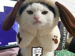 -皇城根(张杨店)