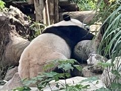 -宁波野生动物园