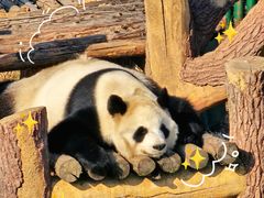 -沈阳森林动物园