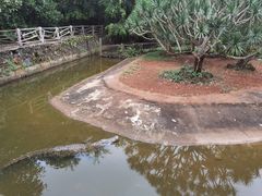 -海南热带野生动植物园