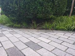 -静安公园(静安寺街道)