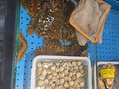 -隐厨·海鲜大排档·地道莱州菜(恒通路店)