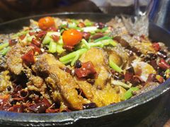 -老板恋上鱼(恒隆广场店)