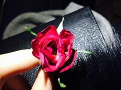 -Helens海伦司小酒馆(复旦大学店)