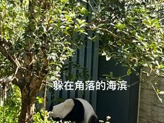 -黔灵山公园